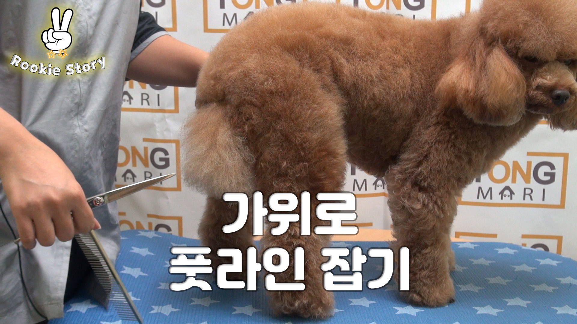  애견 셀프 미용 강아지 가위로 풋라인 발 털 정리하기