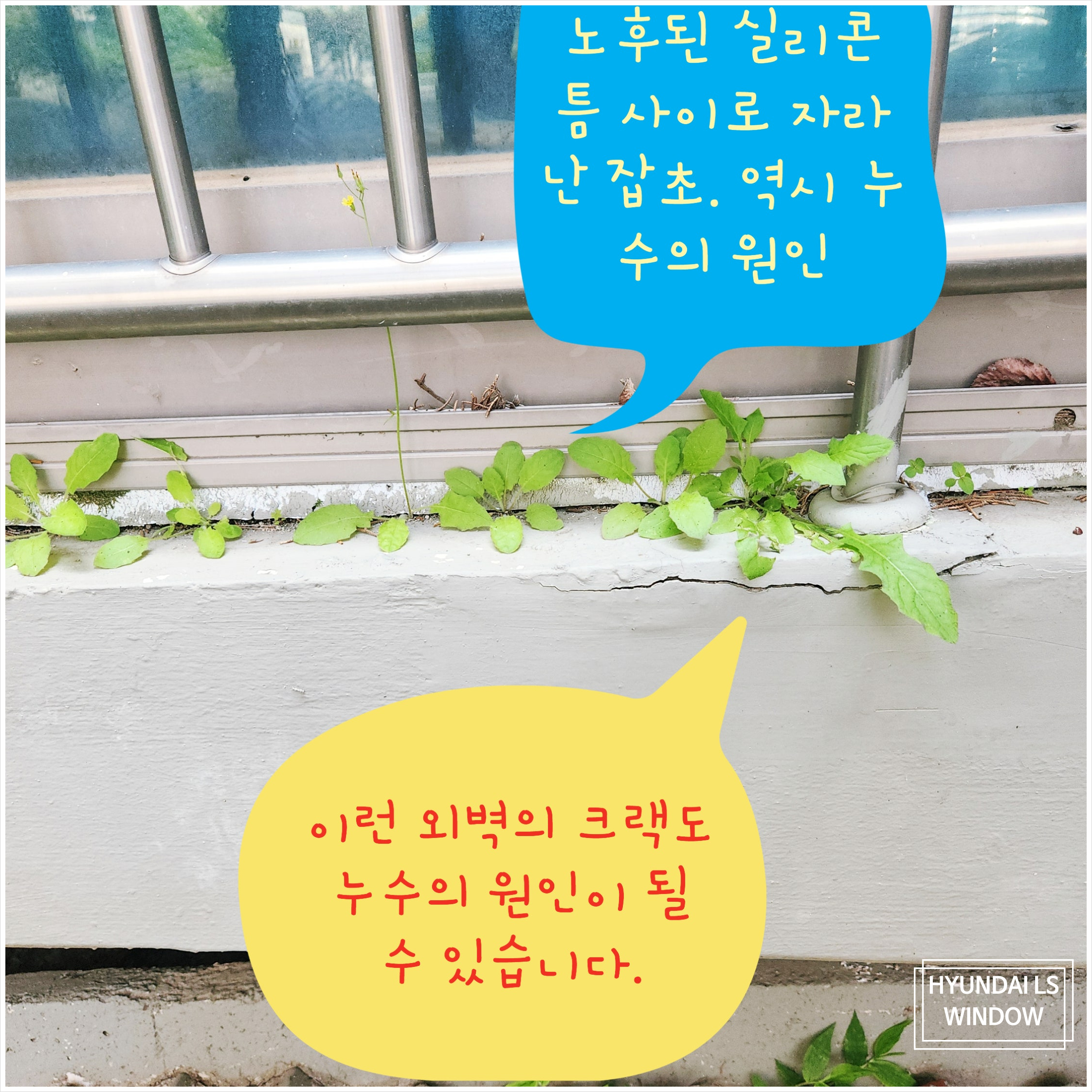 현대창호 이미지