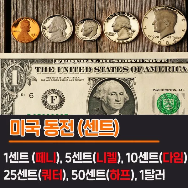 1달러는 몇센트인지 1불과 1달러의 정확한 차이점 알아보기_8