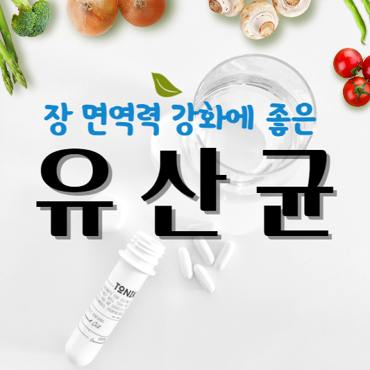 유산균사진