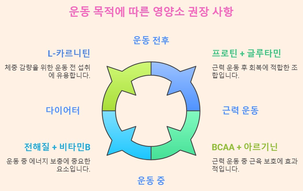 운동선수/다이어터 추천 영양소