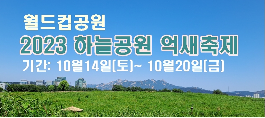 2023-서울-억새축제