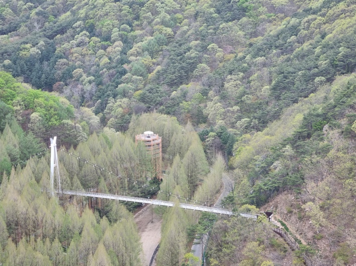 출렁다리
