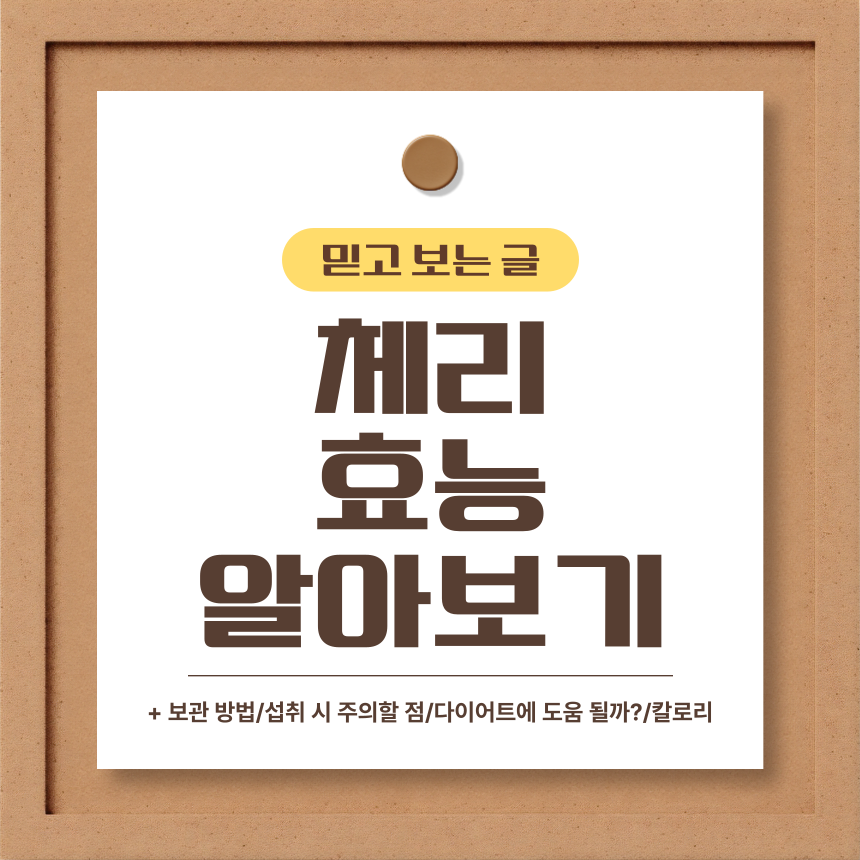 체리 효능 알아보기