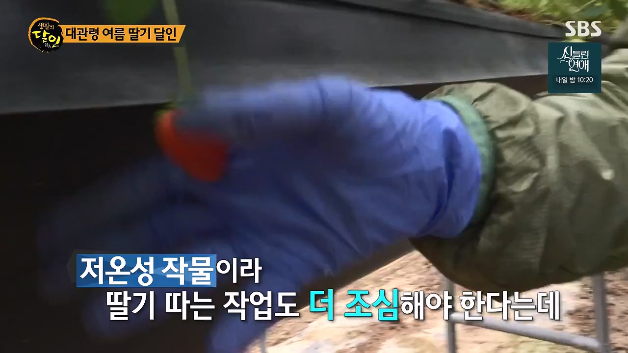 생활의 달인.E941.240625p-NEXT.mp4_20240625_211151.056.jpg