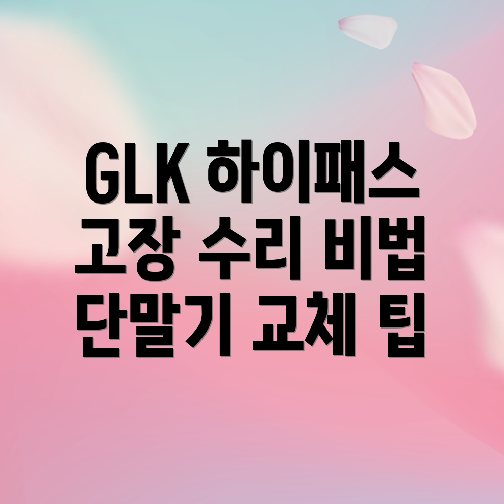 벤츠 GLK 하이패스 소프트웨어 문제