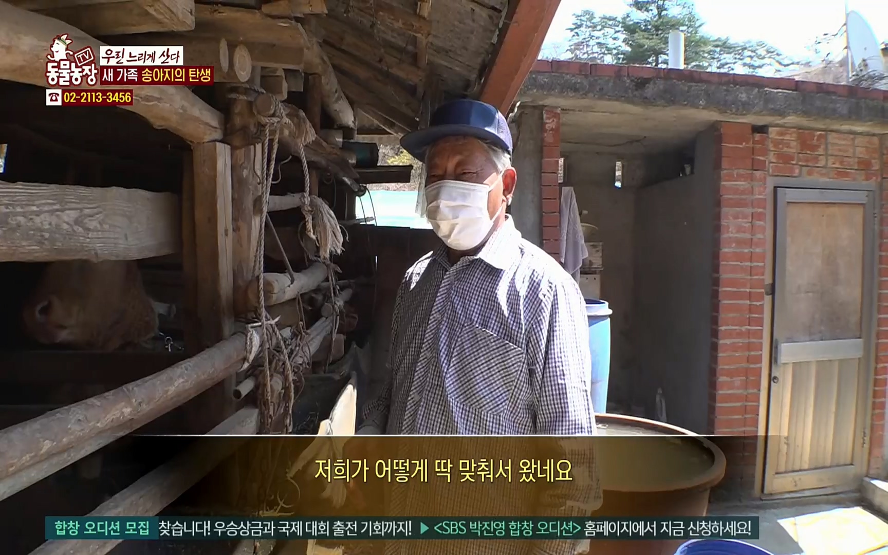 TV 동물농장.E1067.220501p.H264-F1RST.mp4_20220501_183437.213.jpg