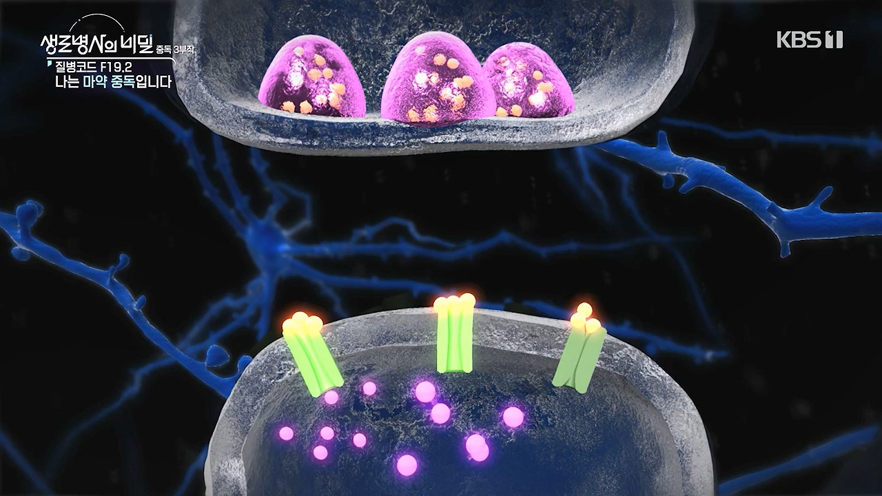 생로병사의 비밀.E917.240627p-NEXT.mp4_20240627_205326.953.jpg