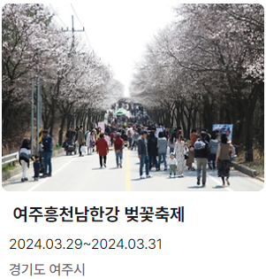 여주흥천강 벚꽃축제