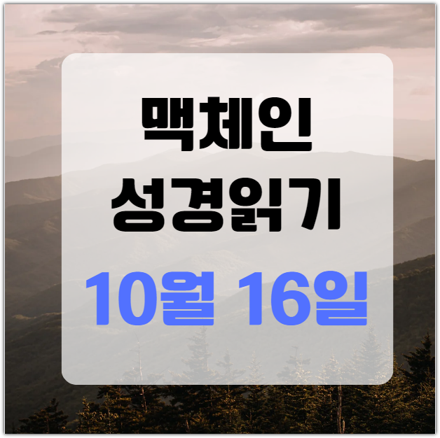 맥체인 성경읽기 10월 16일