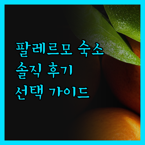 부에노스 아이레스 팔레르모 숙소! 솔