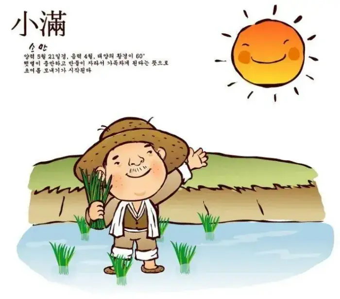 여름의 문턱, 소만(小滿)의 의미와 전통 음식 총정리