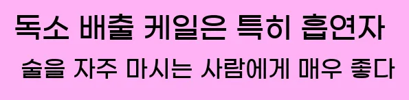  6) 독소 배출 케일은 특히 흡연자, 술을 자주 마시는 사람에게 매우 좋다.