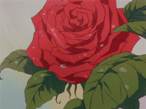  [띵곡추천] Jereena Montemayor - Rose 가사/듣기/해석