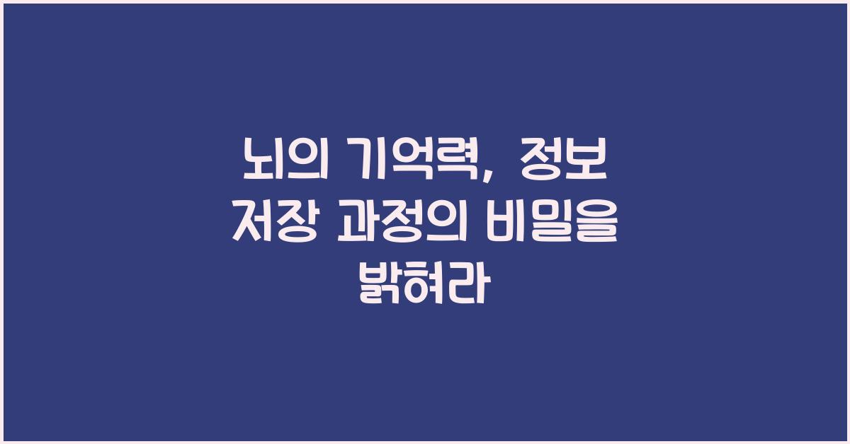 뇌의 기억력, 정보 저장 과정