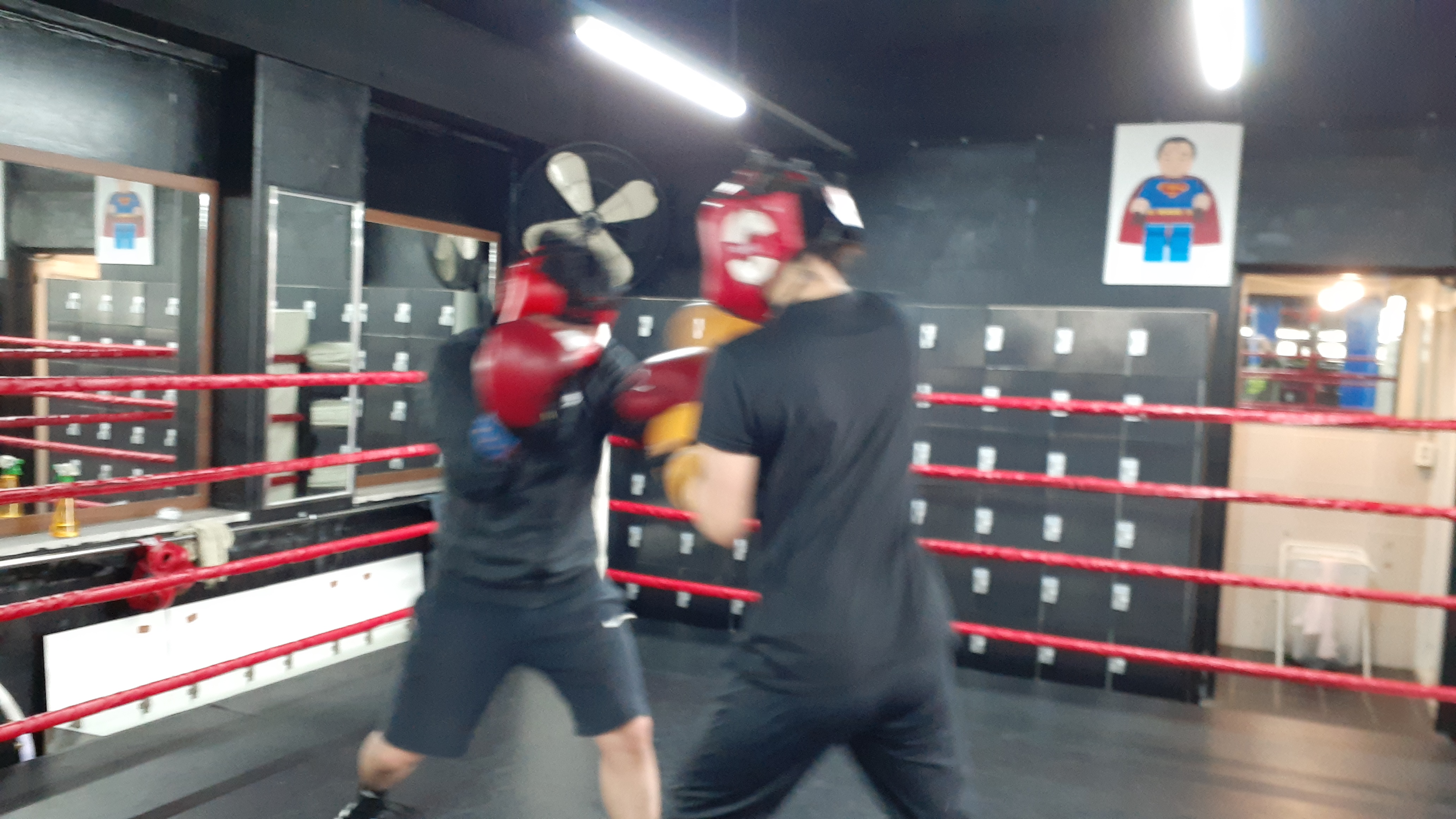 27. 3. 23. 양천구 복싱 대한복싱체육관 신정동 복싱 목동 복싱 신월동 복싱 경찰 무도 자격증 86