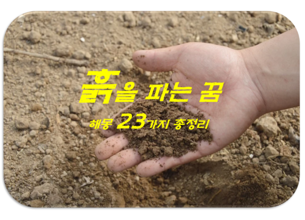  흙꿈 해몽 23가지 총정리