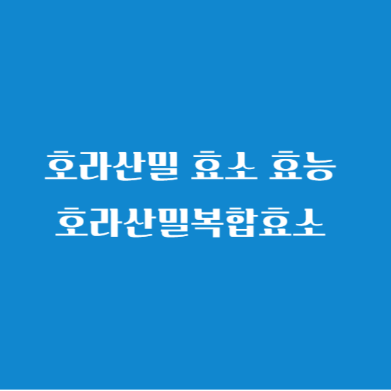 호라산밀 효소 효능 호라산밀복합효소 (카무트&#44; 카뮤트)