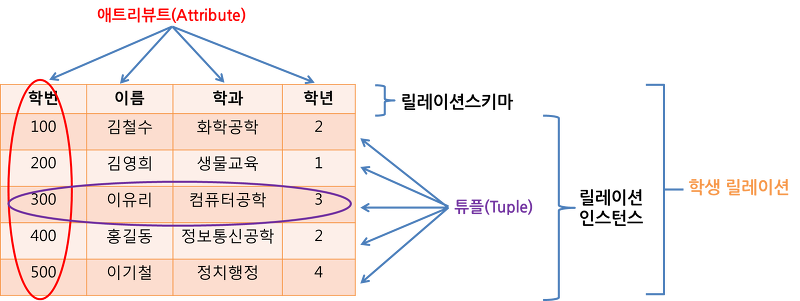 데이터베이스-테이블-용어