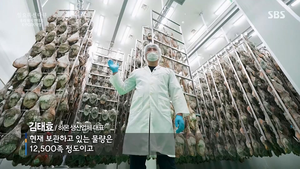 일요 특선 다큐멘터리.E315.230716p.H264-F1RST.mp4_20230717_210614.453.jpg