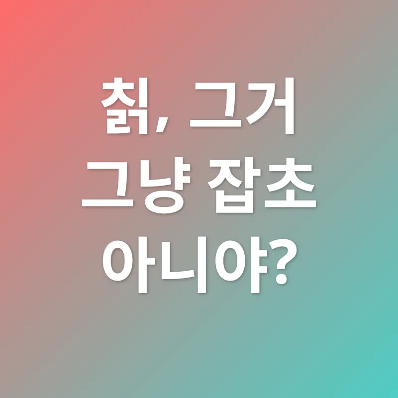 칡즙 효능_1