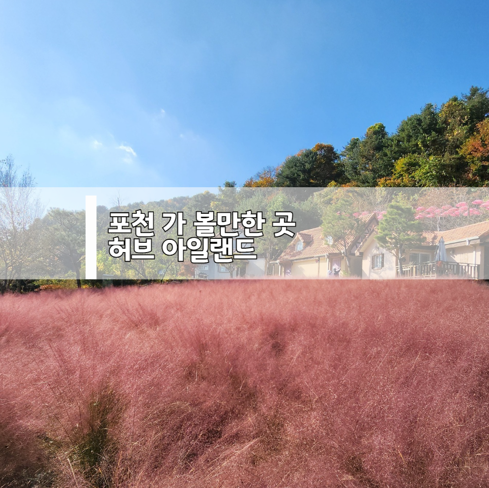 포천 허브 아일랜드 방문후기｜가족과 함께하는 힐링 여행지 추천