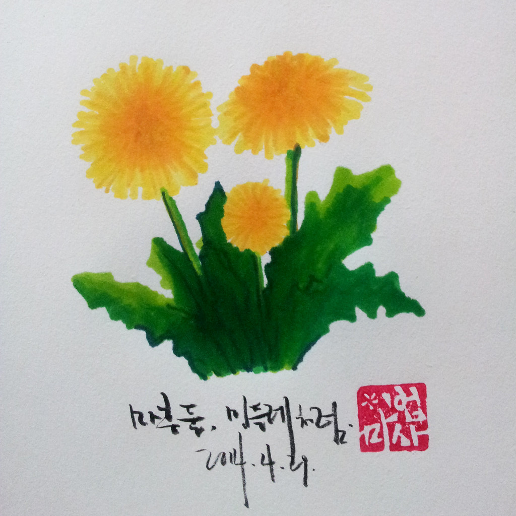  마흔살 그리고