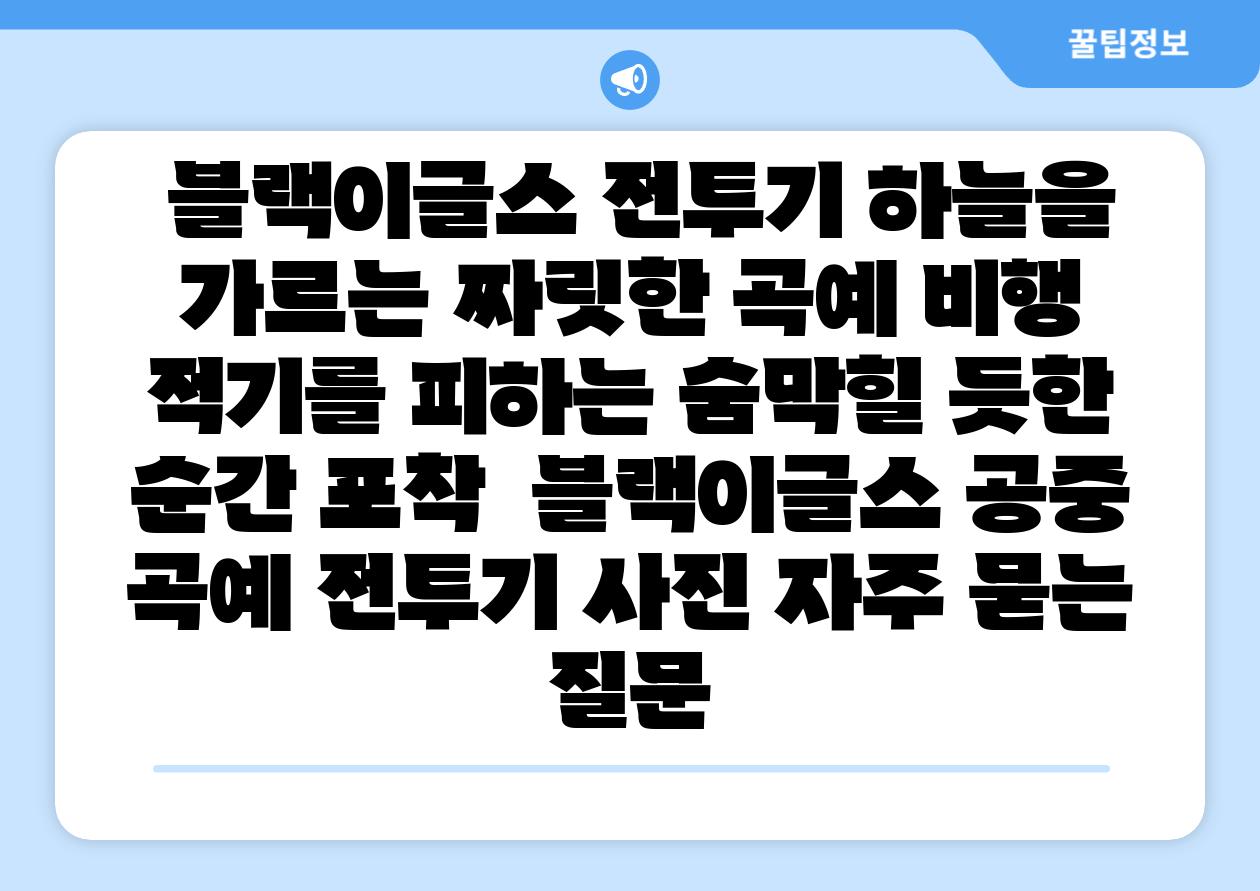 블랙이글스 전투기 하늘을 가르는 짜릿한 곡예 비행 적기를 피하는 숨막힐 듯한 순간 포착 블랙이글스 공중 곡예 전투기 사진 자주 묻는 질문