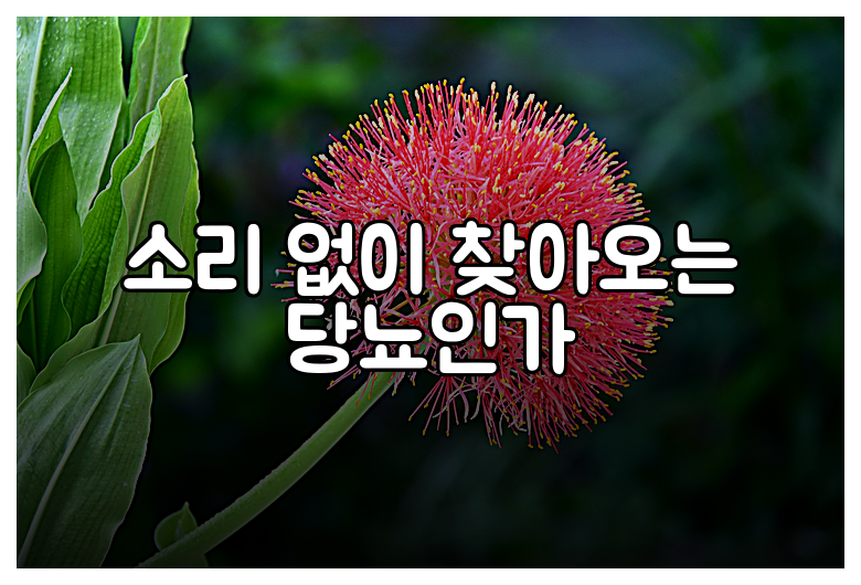 소리 없이 찾아오는 당뇨인가