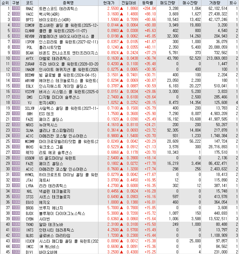  9월25일 미국주식 상승률 상위 종목 TOP 300