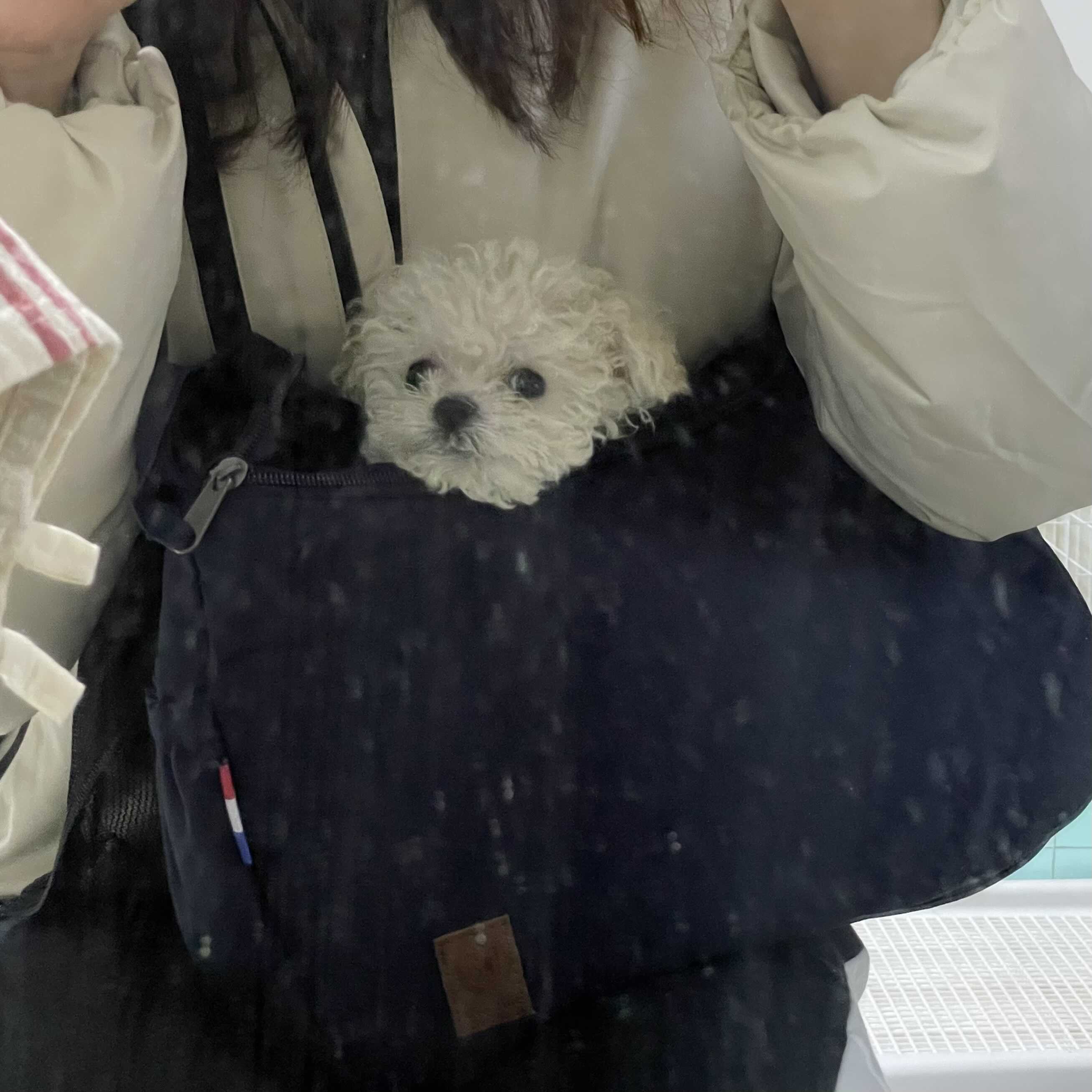  마늘이 3차 예방접종