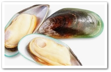 초록입 홍합의 부작용
