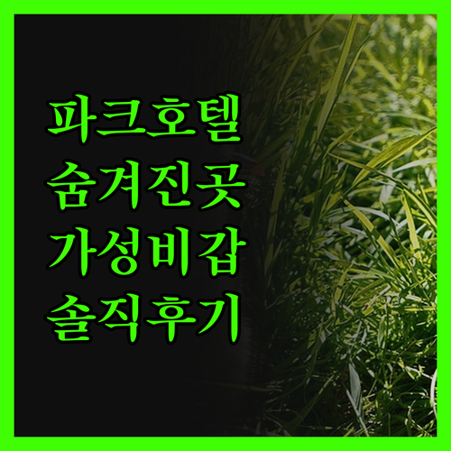 더 파크 비사카파트남 숙박 후기 숨겨