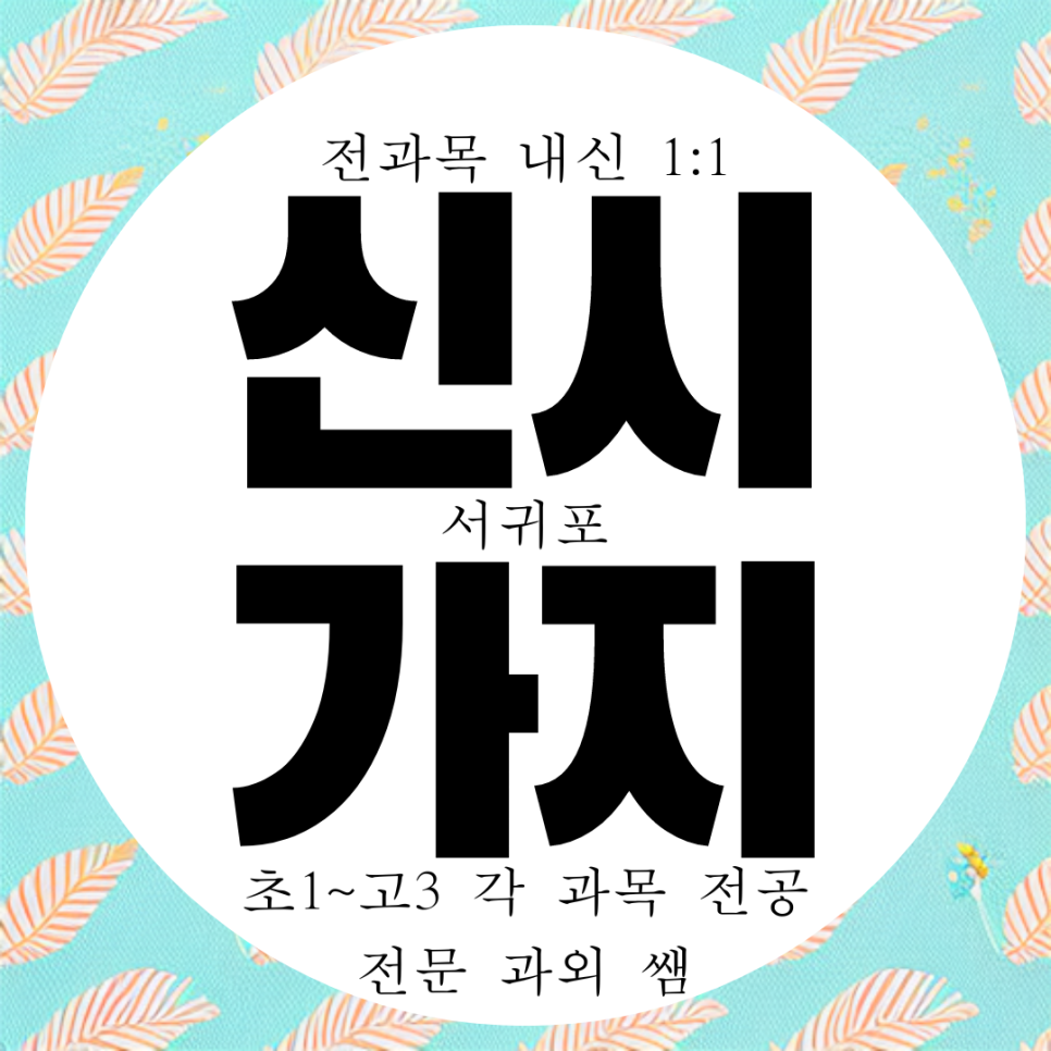  서귀포 신시가지 고등 영어과외 강정동 중등 국어과외 한국사까지 준비완료