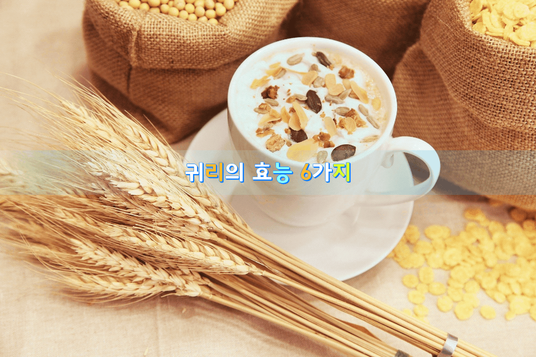  성인병 예방 도움이 되는 귀리의 효능 6가지