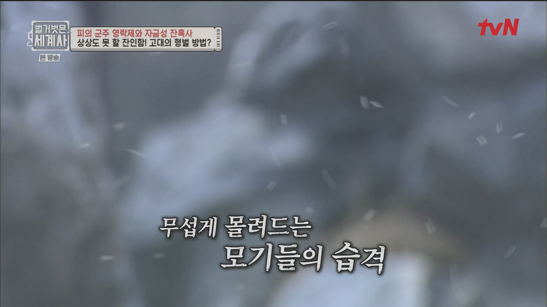 벌거벗은 세계사.E106.230704p.H264-F1RST.mp4_20240130_201358.469.jpg