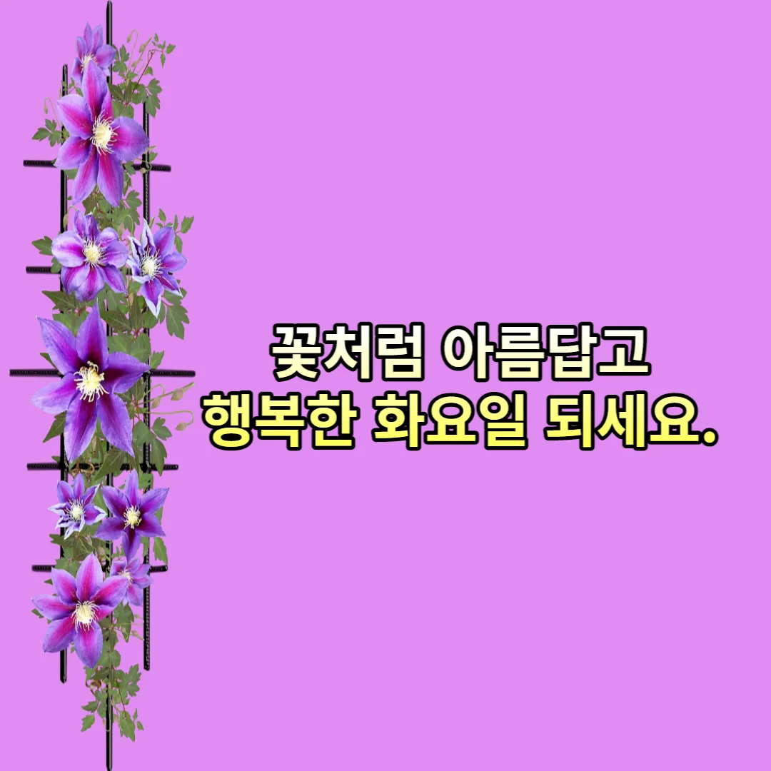  화요일 인사말, 이미지, 문구 BEST 모음: 화요일은 화목하게!