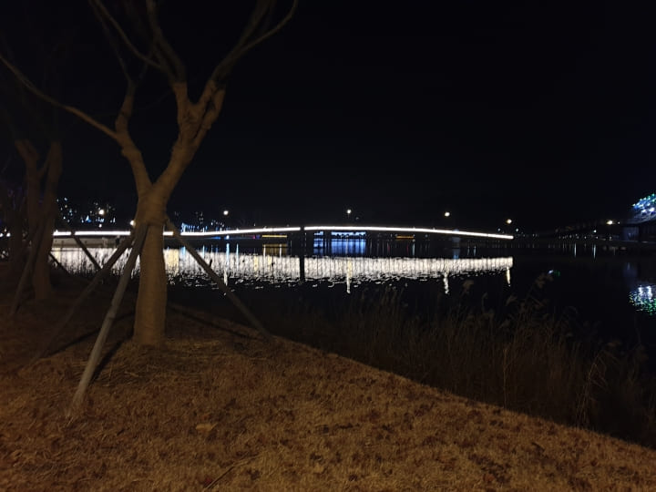대전야간드라이브-세종-호수공원