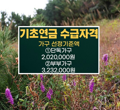 기초연금 선정기준액
