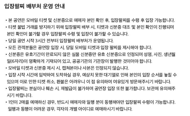 빈지노 콘서트 NOWITZKI LIVE 입장팔찌