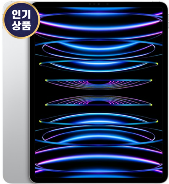  아이패드 12.9인치 모델 추천 구매정보 제공
