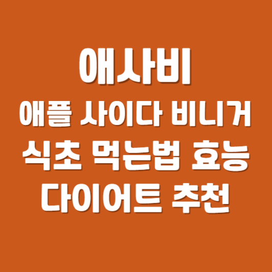 애사비 먹는 법 효능 식초 다이어트 애플 사이다 비니거 추천