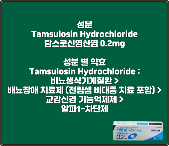 하루날디정_0.2mg_성분