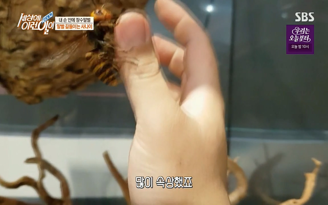 순간포착 세상에 이런일이.E1180.220518p-NEXT.mp4_20220518_180511.993.jpg