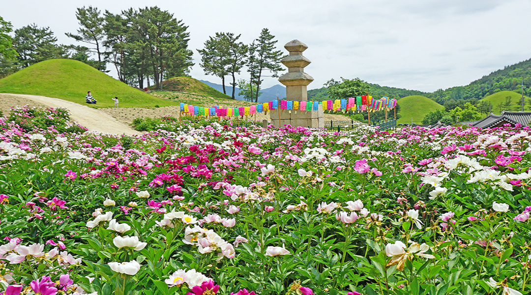 서악동 삼층석탑 작약꽃