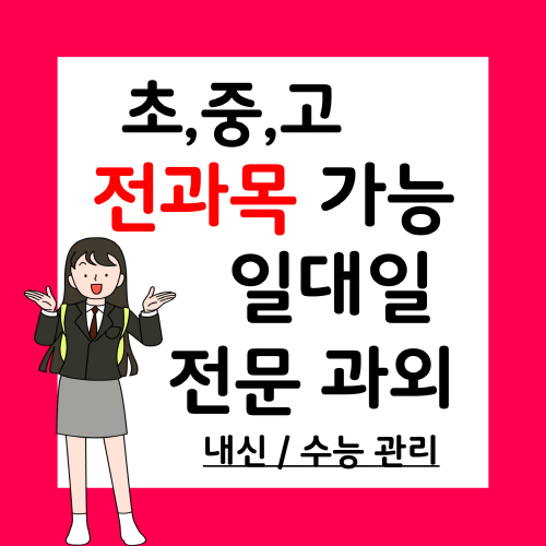  공도 과학과외 공도읍 국어과외 예비중 예비고 방학특강 일대일 물리 한국사 세계사 초등중등고등 자기주도
