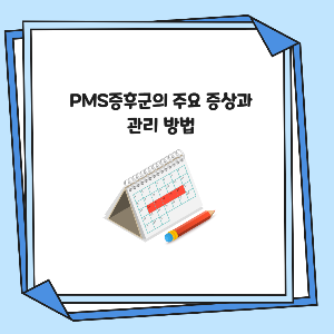 PMS증후군의 주요 증상과 관리 방법