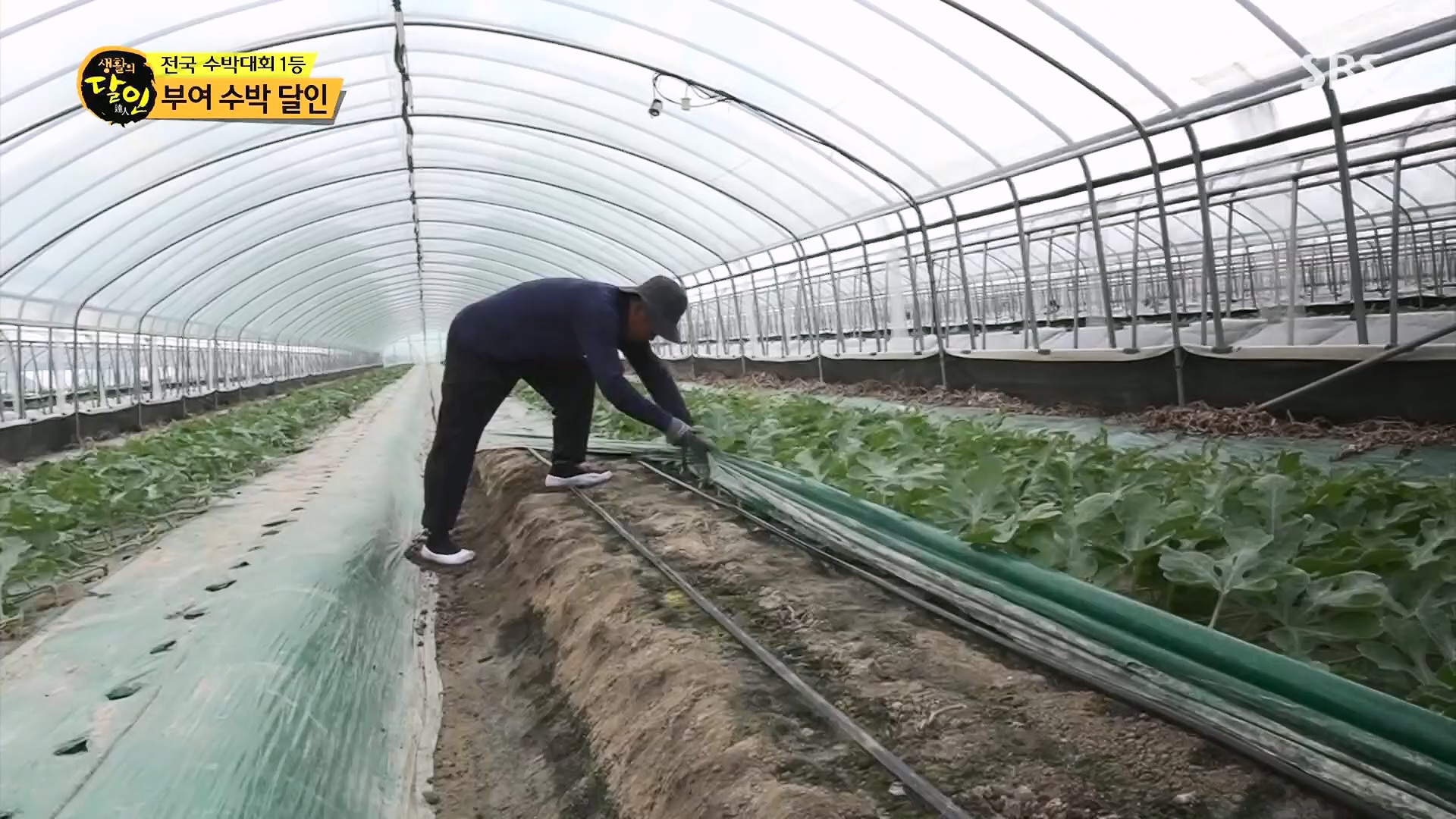 생활의 달인.E939.240610p.H264-F1RST.mp4_20240611_200853.653.jpg