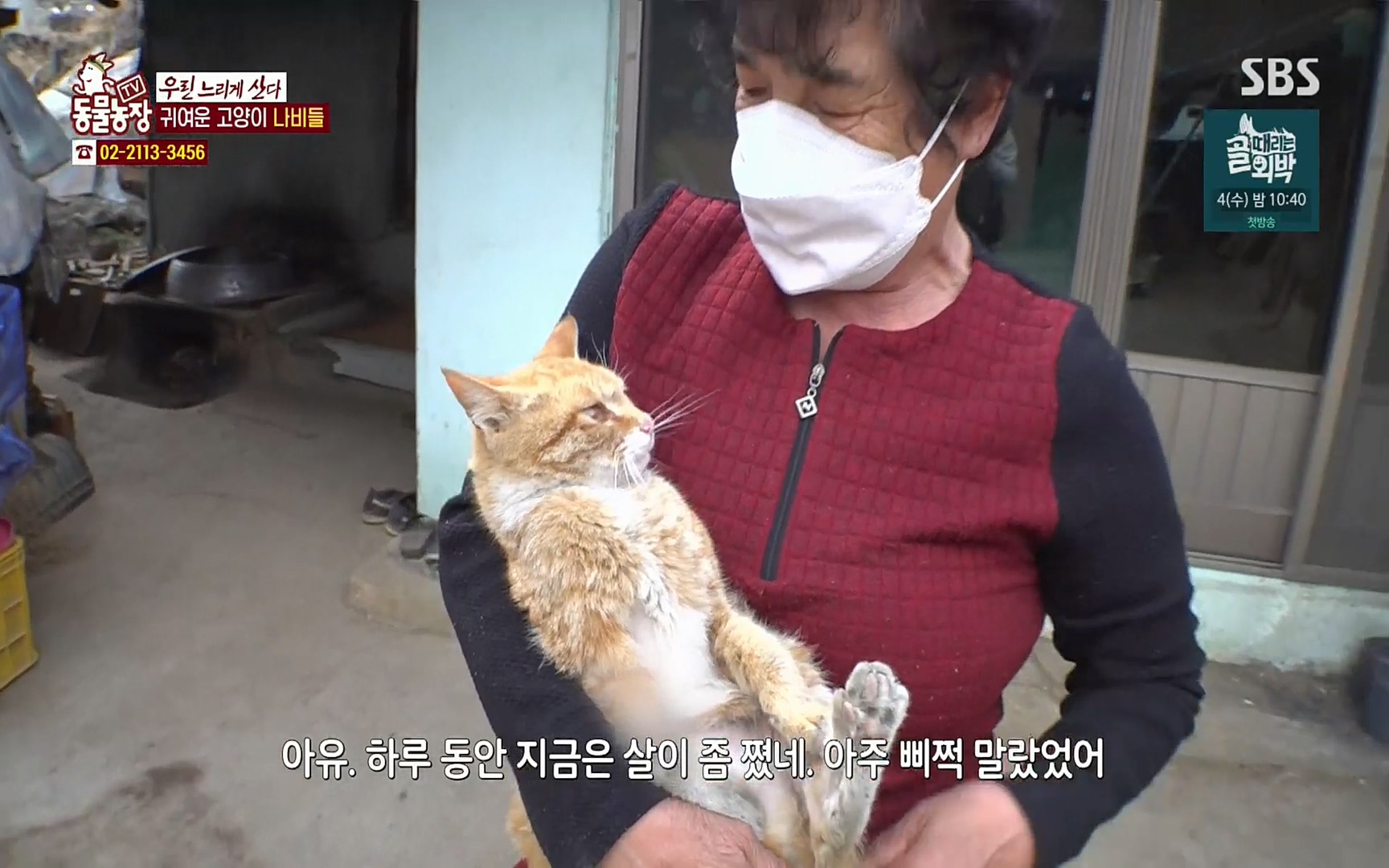 TV 동물농장.E1067.220501p.H264-F1RST.mp4_20220501_183736.300.jpg
