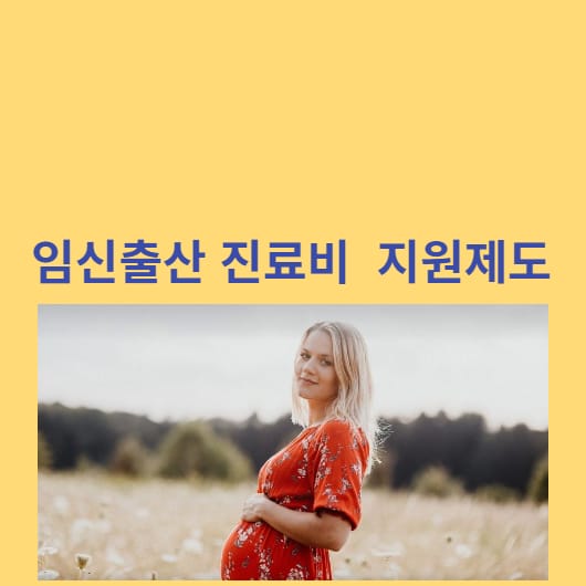 임신출산진료비지원제도-안내